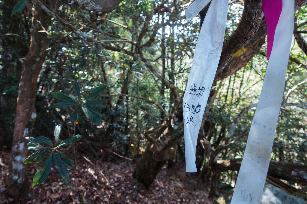 DSC03010.jpg DSC03010.jpg