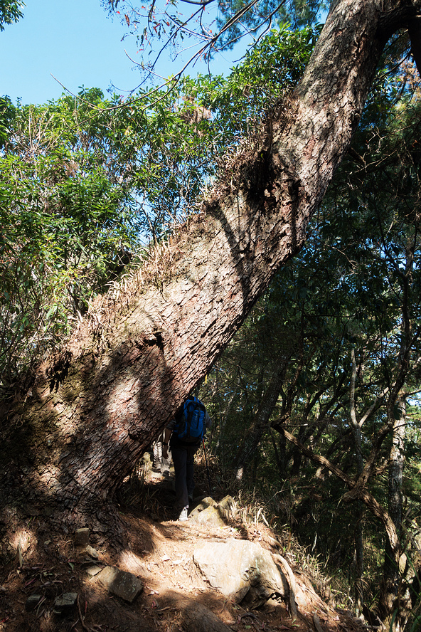 DSC03015.jpg DSC03015.jpg