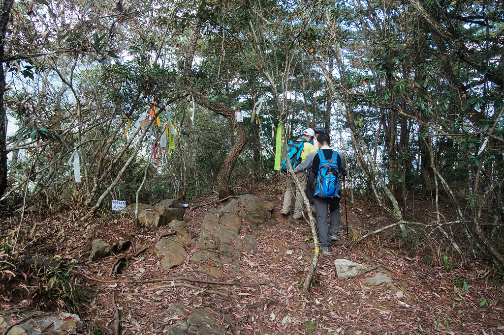 DSC03016.jpg DSC03016.jpg