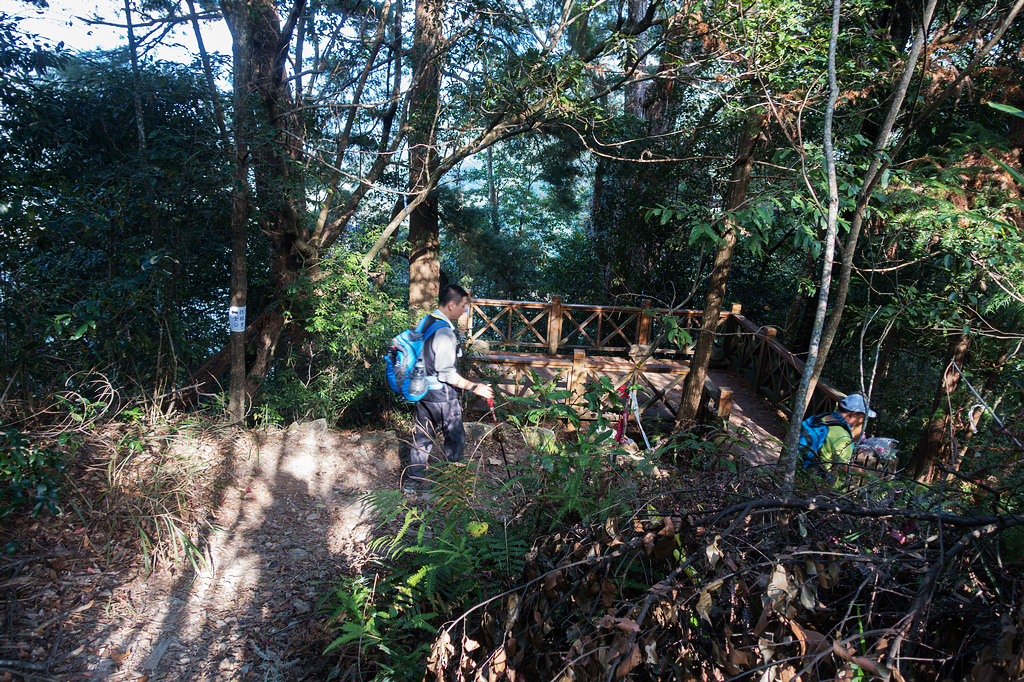 DSC03019.jpg DSC03019.jpg