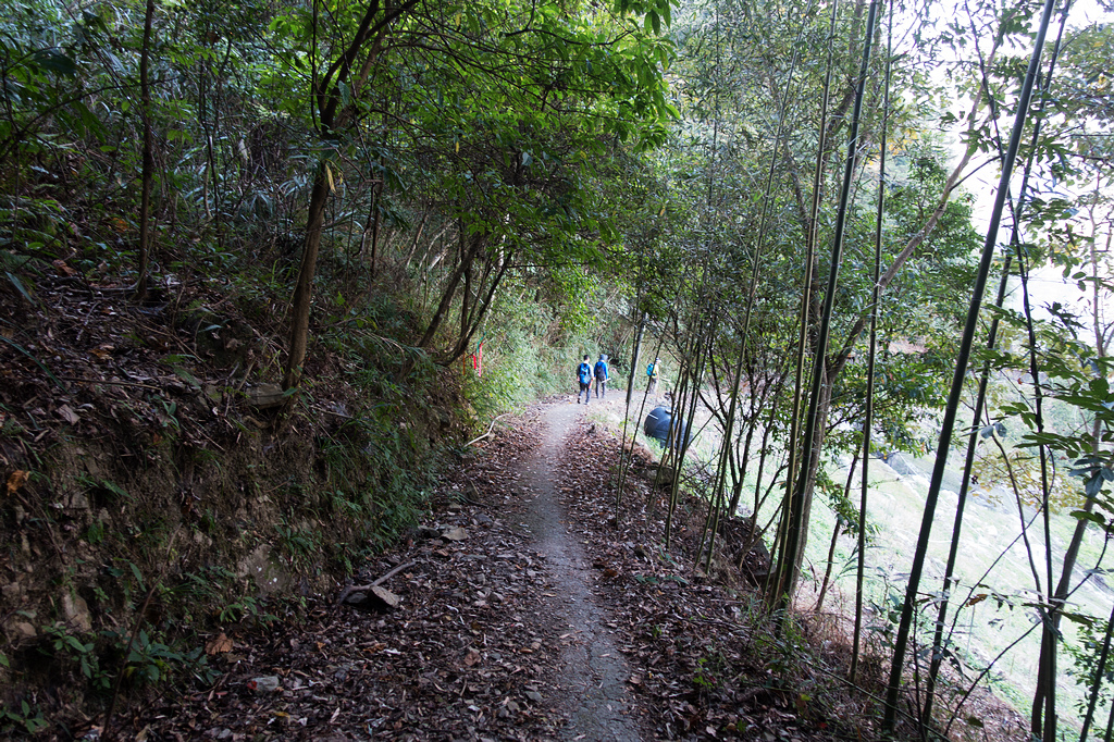 DSC03022.jpg DSC03022.jpg