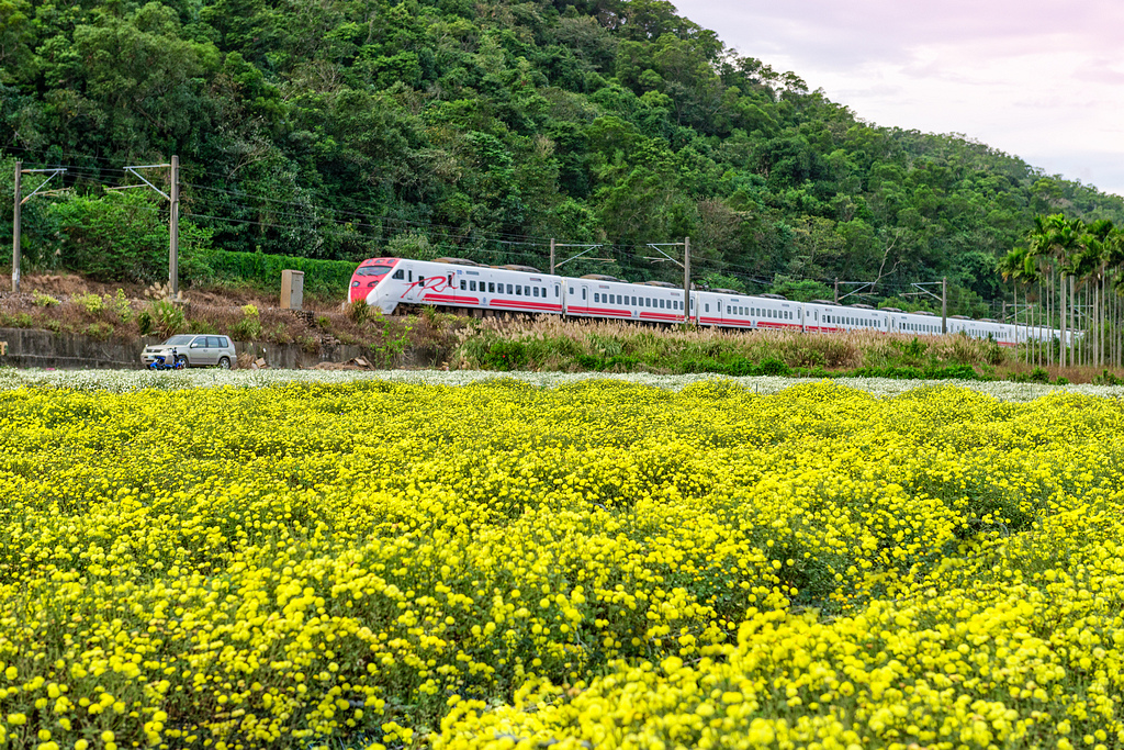 _DSC6041-編輯.jpg _DSC6041-編輯.jpg