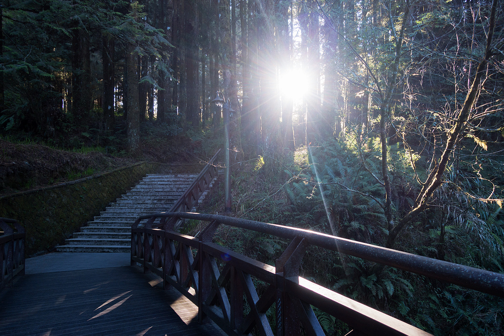 DSC03615.jpg DSC03615.jpg