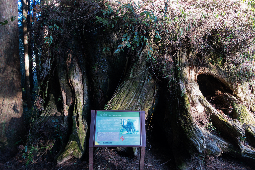 DSC03617.jpg DSC03617.jpg