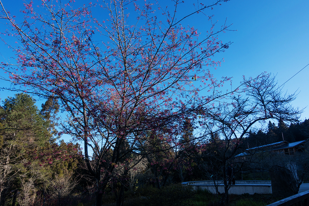 DSC03623.jpg DSC03623.jpg