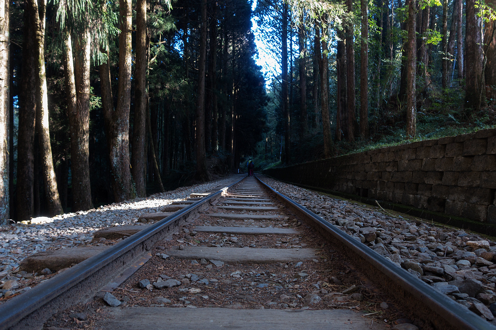 DSC03635.jpg DSC03635.jpg