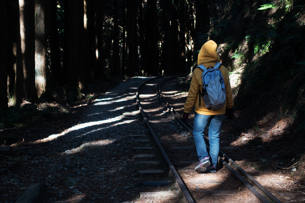 DSC03665.jpg DSC03665.jpg