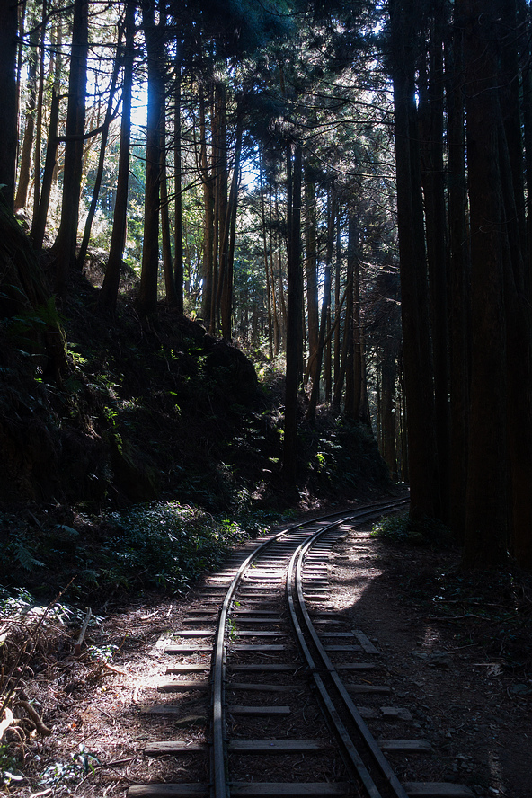 DSC03677.jpg DSC03677.jpg