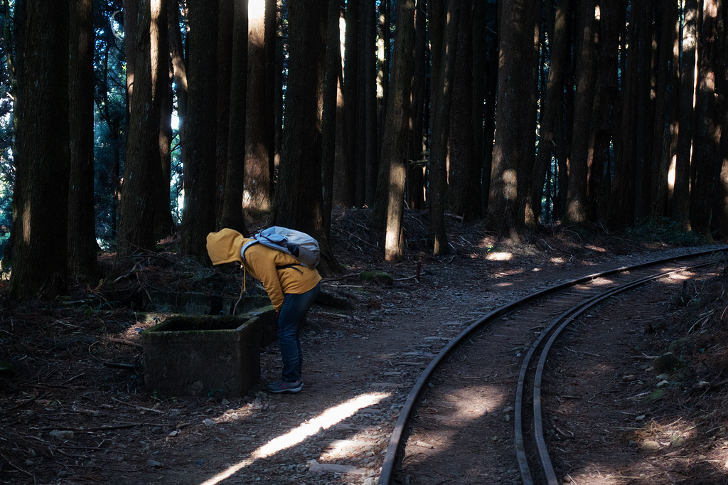 DSC03678.jpg DSC03678.jpg