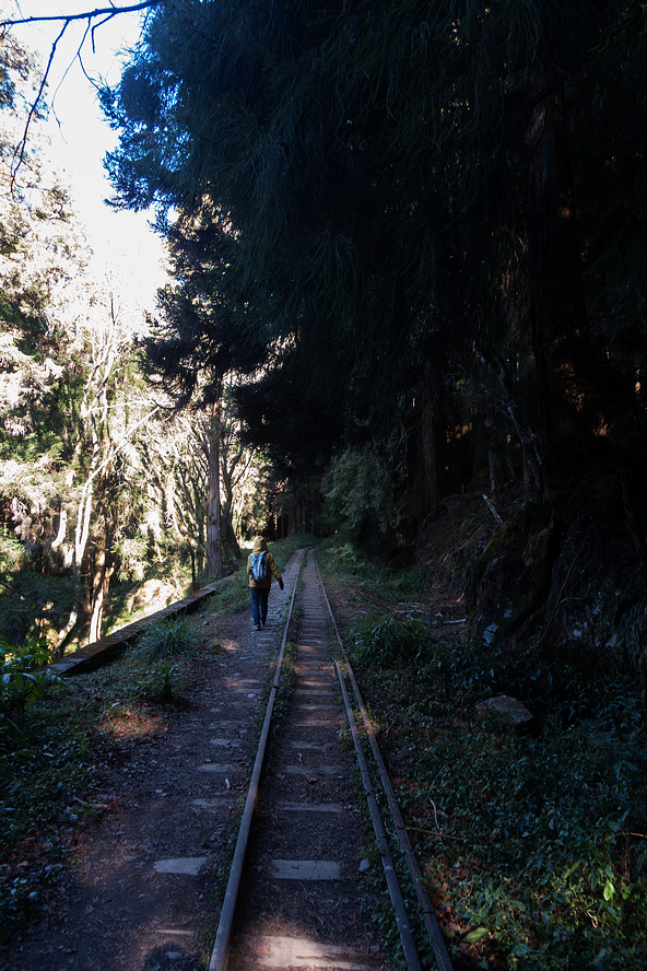 DSC03685.jpg DSC03685.jpg