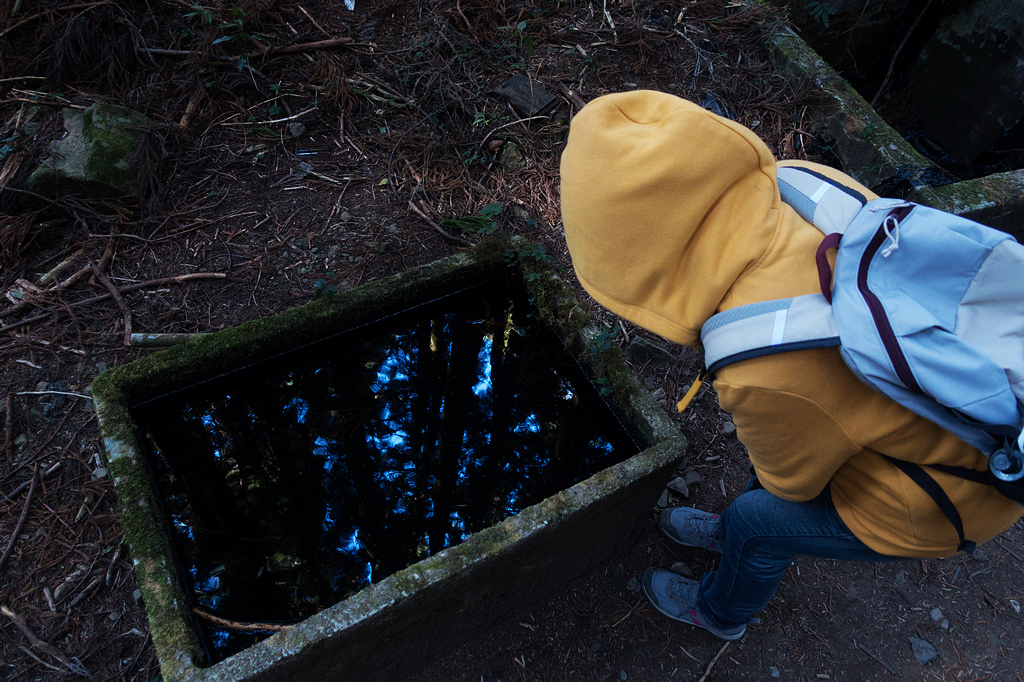 DSC03681.jpg DSC03681.jpg