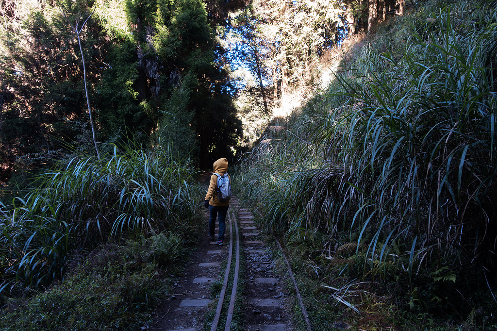 DSC03684.jpg DSC03684.jpg