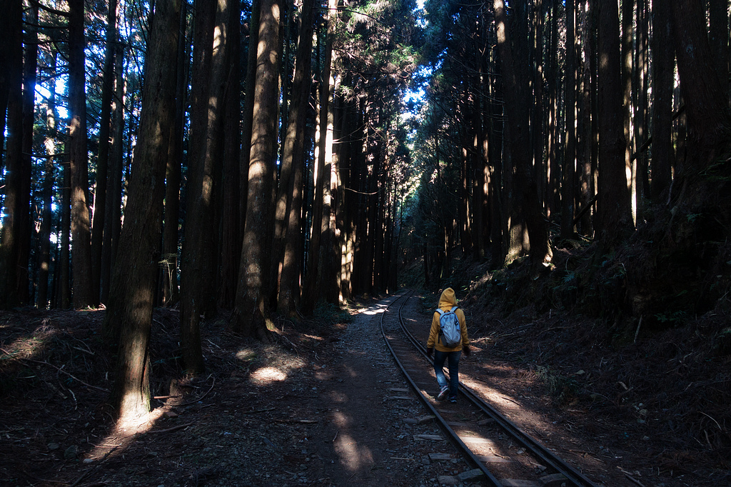 DSC03683.jpg DSC03683.jpg