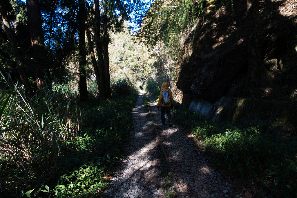 DSC03686.jpg DSC03686.jpg