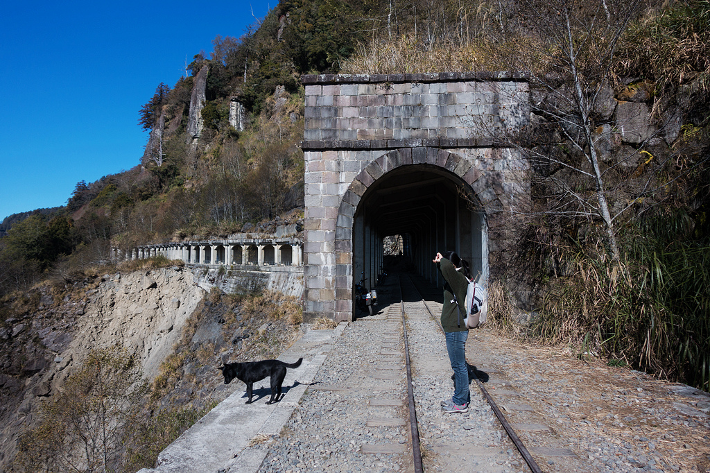 DSC03695.jpg DSC03695.jpg