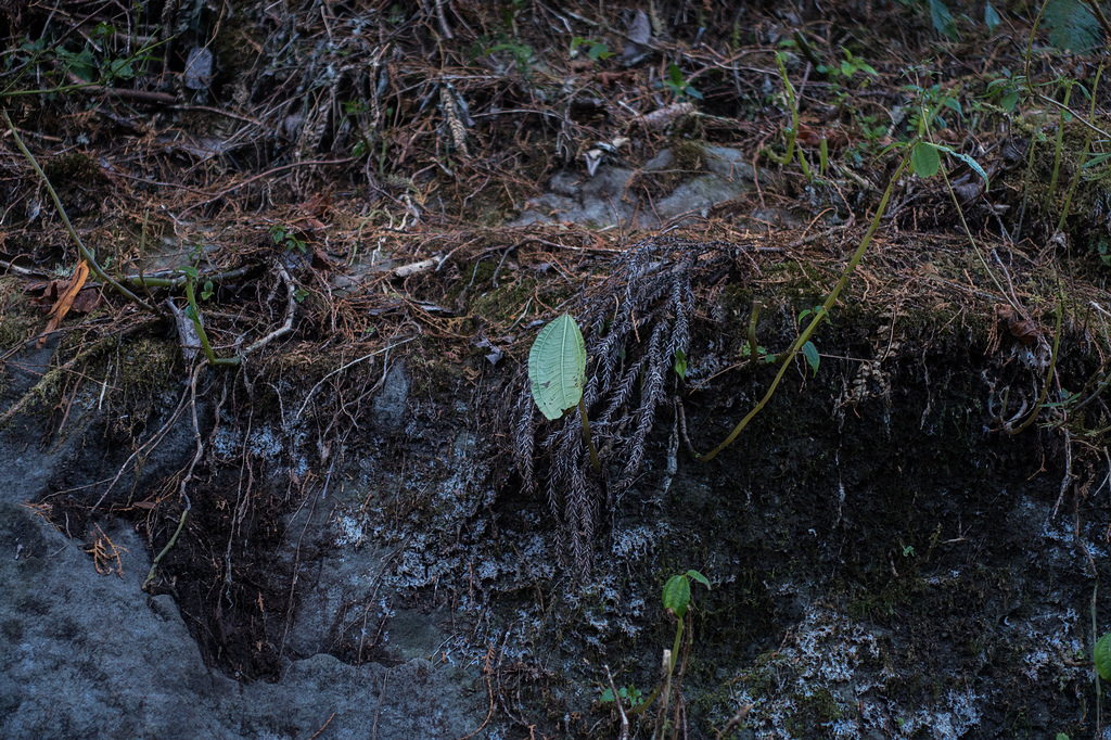 DSC03687.jpg DSC03687.jpg