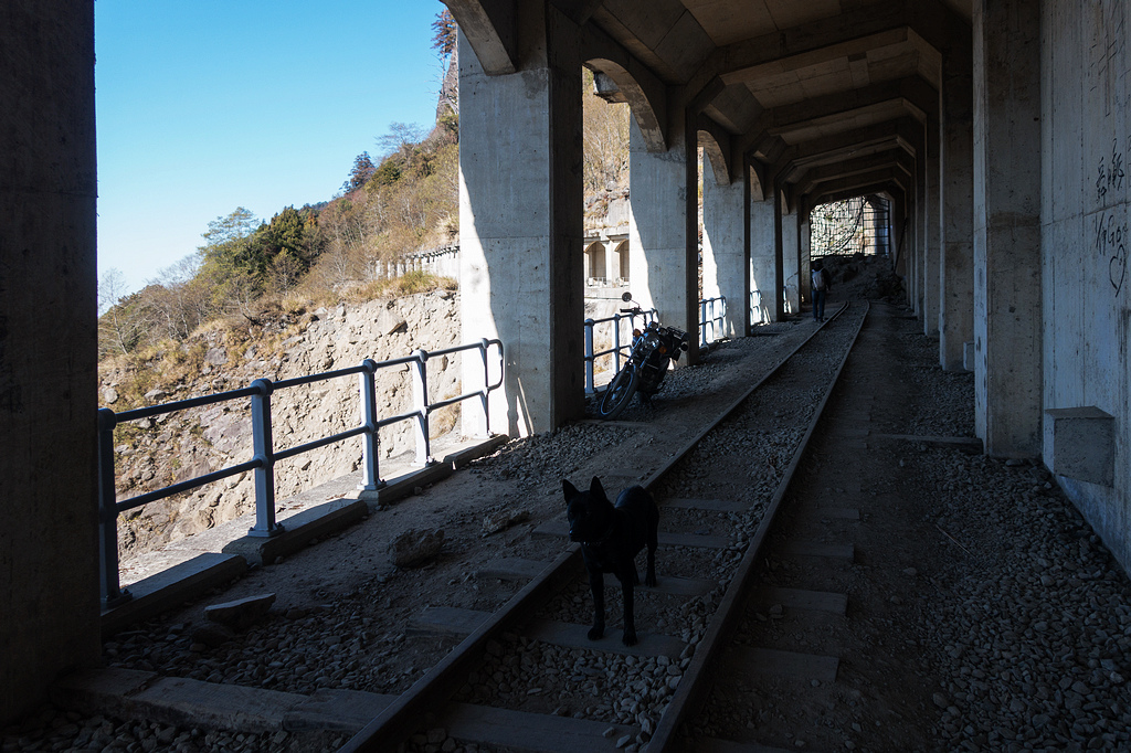 DSC03701.jpg DSC03701.jpg