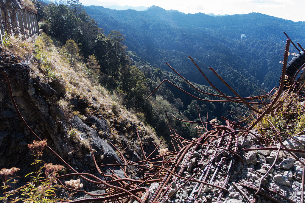 DSC03730.jpg DSC03730.jpg