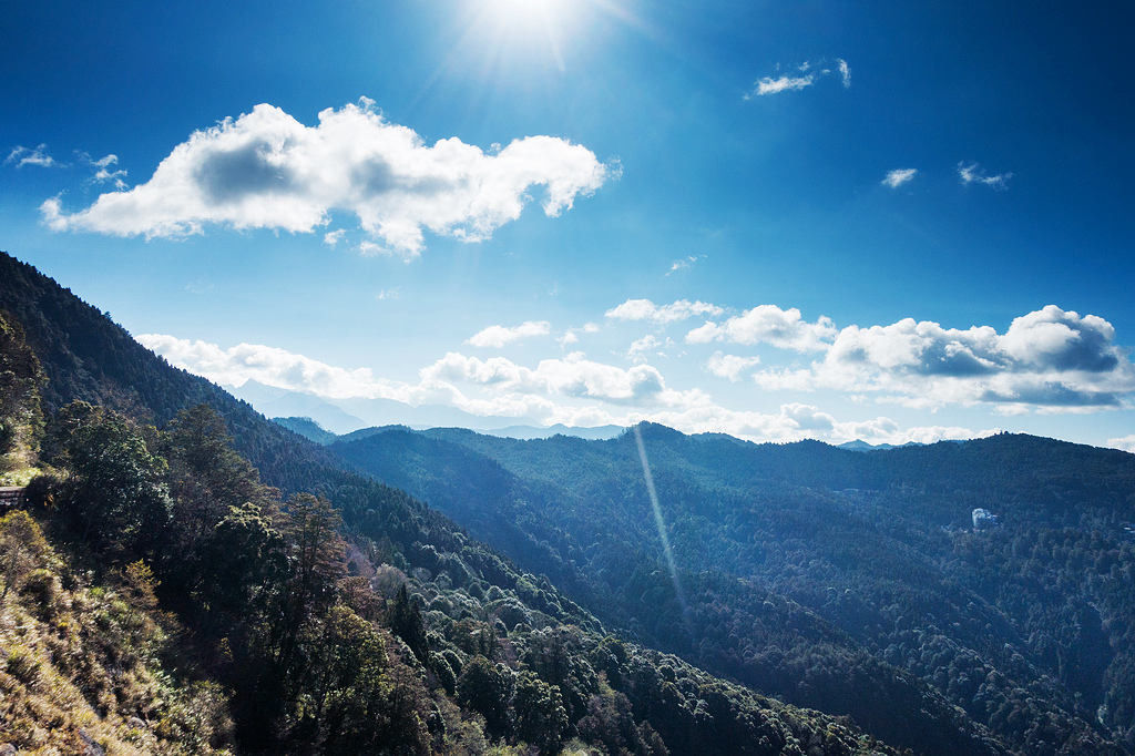 DSC03737.jpg DSC03737.jpg