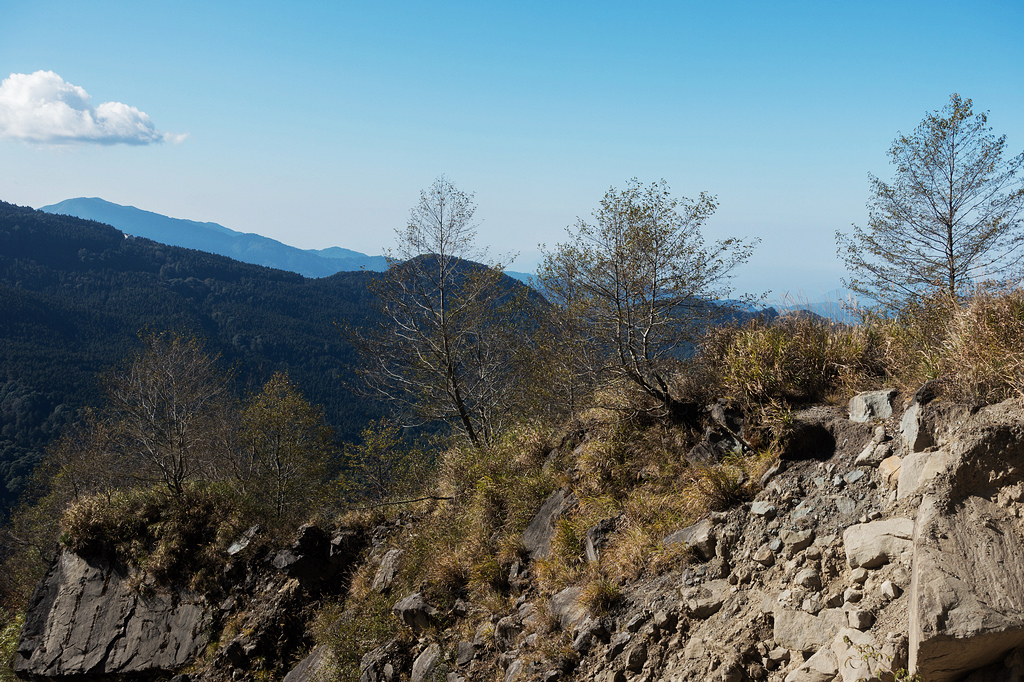 DSC03738.jpg DSC03738.jpg