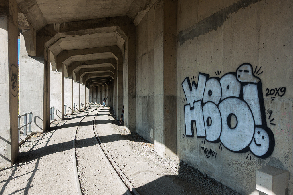 DSC03739.jpg DSC03739.jpg