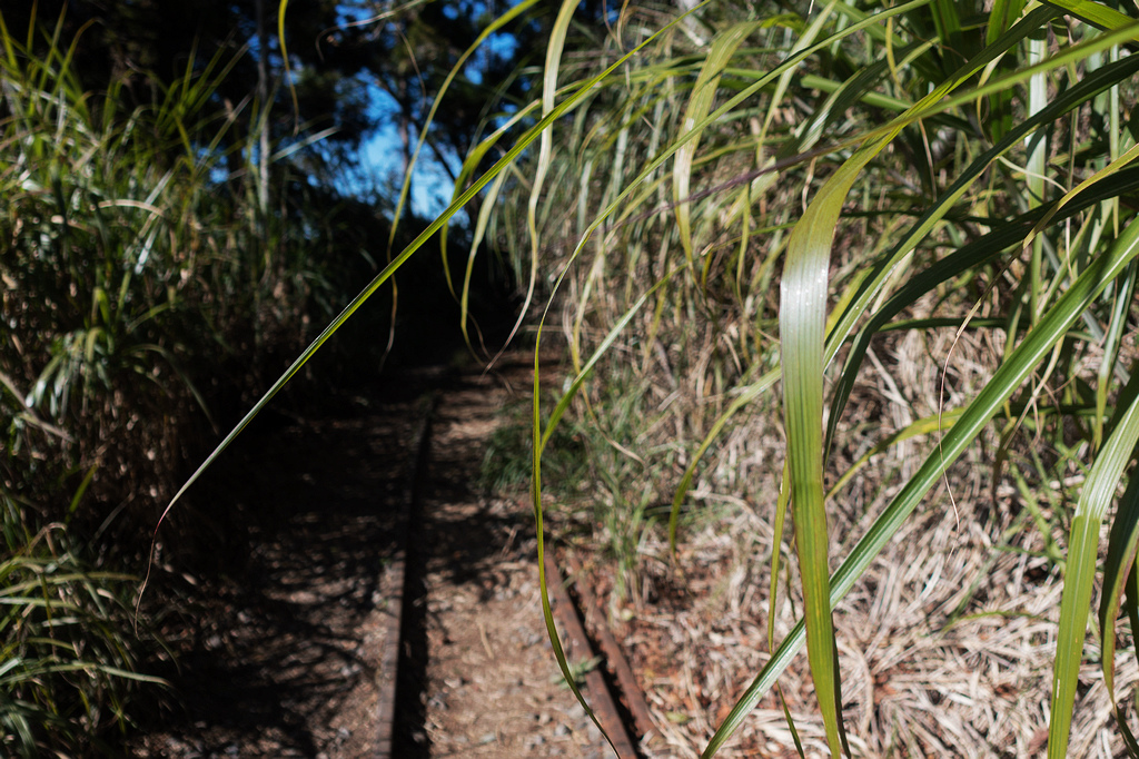 DSC03743.jpg DSC03743.jpg