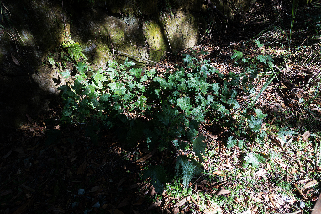 DSC03744.jpg DSC03744.jpg