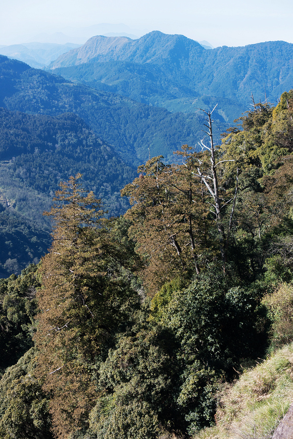 DSC03749.jpg DSC03749.jpg