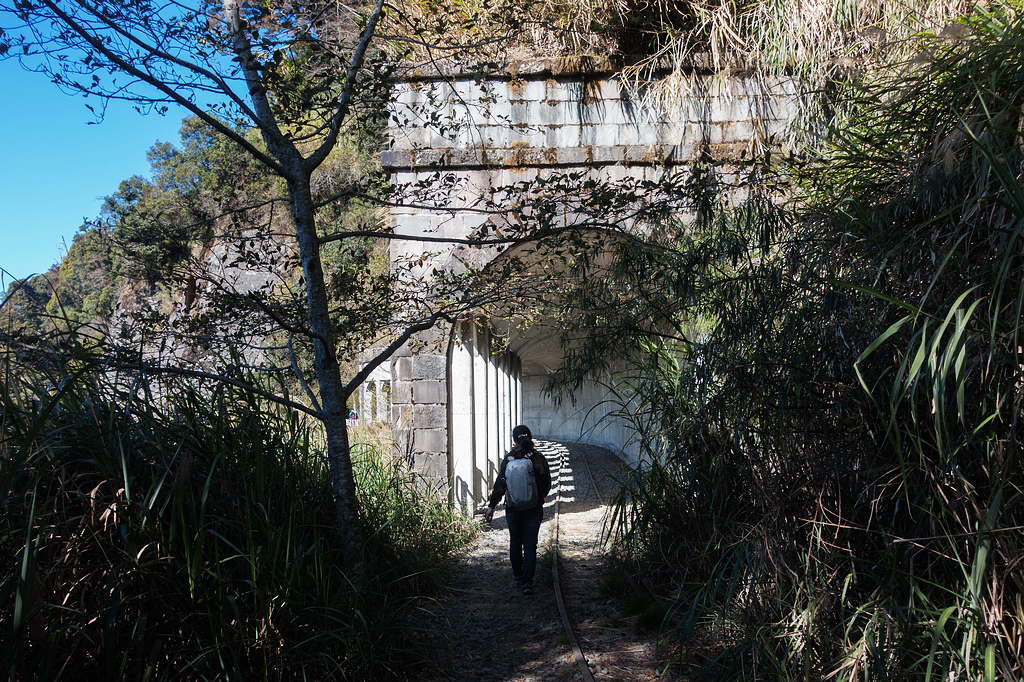 DSC03746.jpg DSC03746.jpg