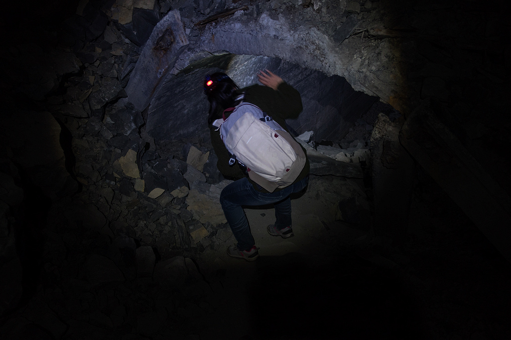 DSC03764.jpg DSC03764.jpg