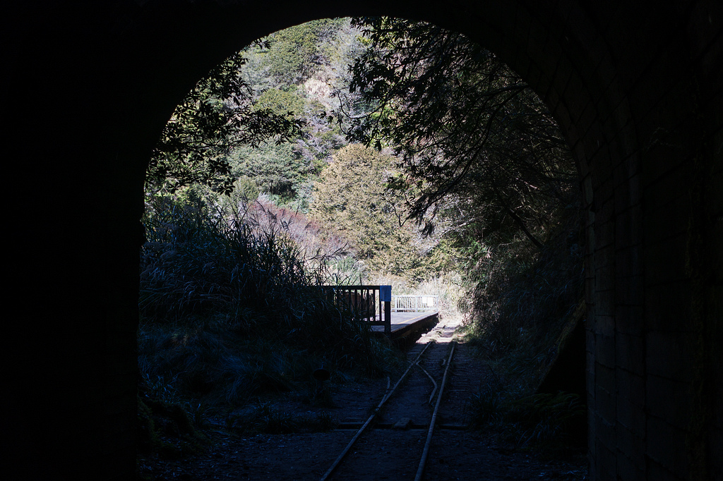 DSC03769.jpg DSC03769.jpg