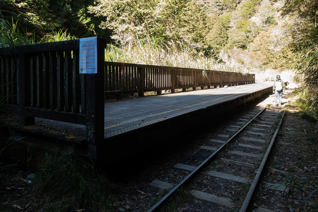 DSC03774.jpg DSC03774.jpg