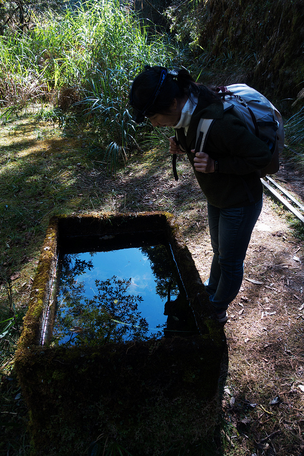 DSC03790.jpg DSC03790.jpg