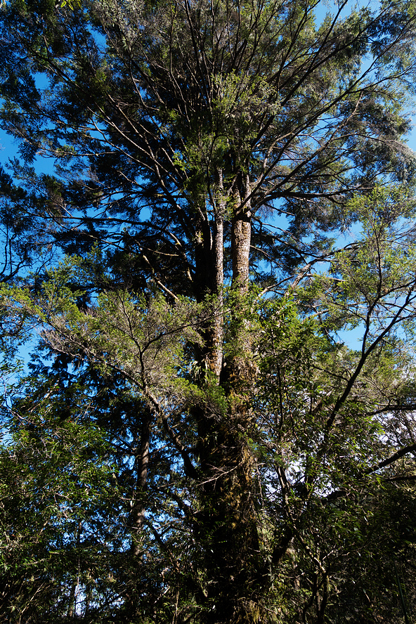 DSC03792.jpg DSC03792.jpg