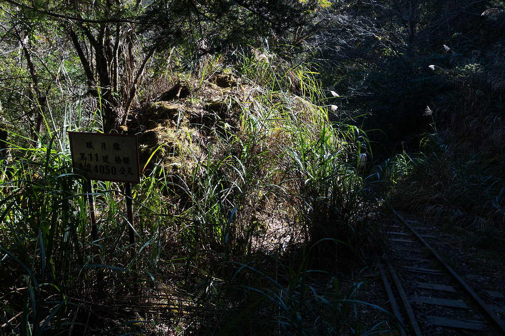 DSC03794.jpg DSC03794.jpg