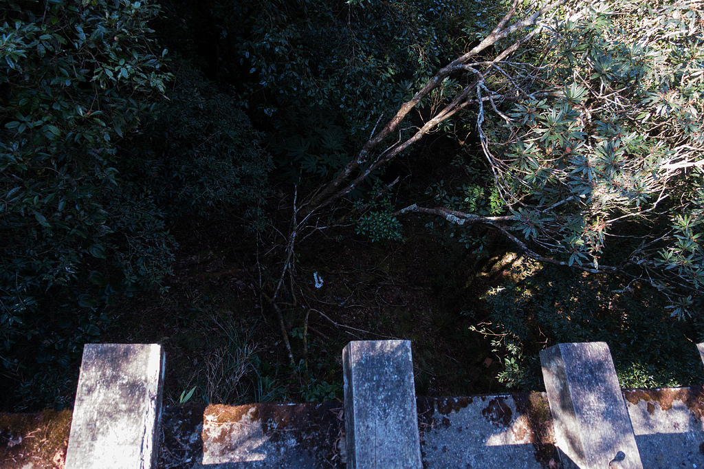 DSC03817.jpg DSC03817.jpg