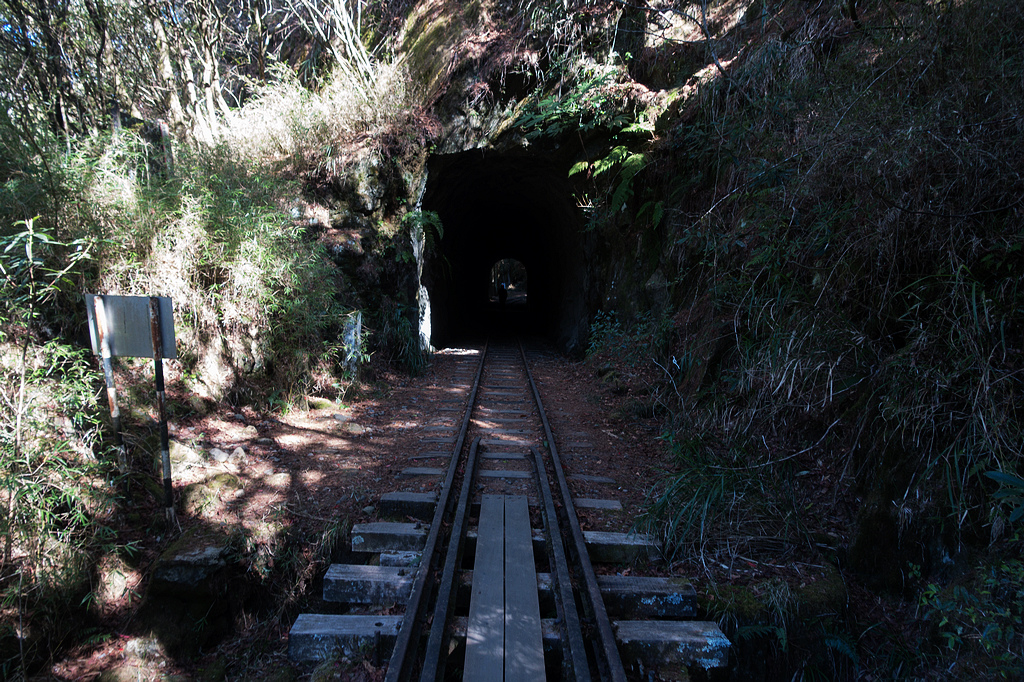 DSC03818.jpg DSC03818.jpg