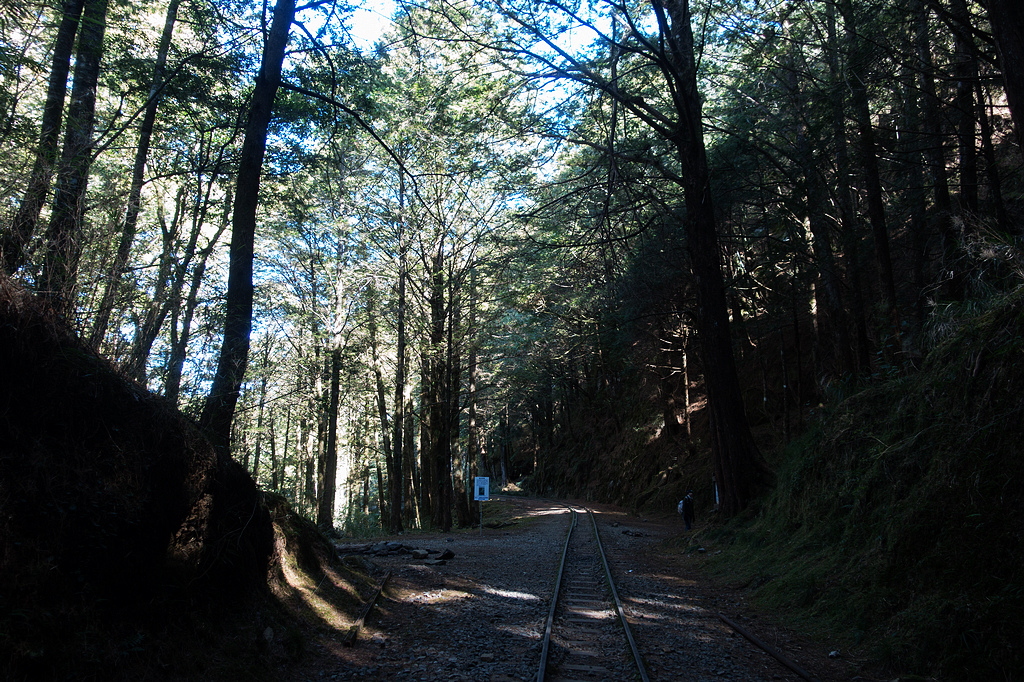 DSC03825.jpg DSC03825.jpg