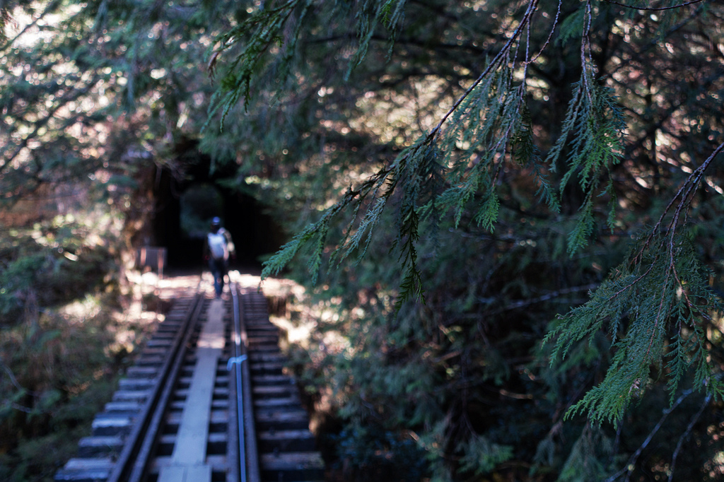 DSC03834.jpg DSC03834.jpg