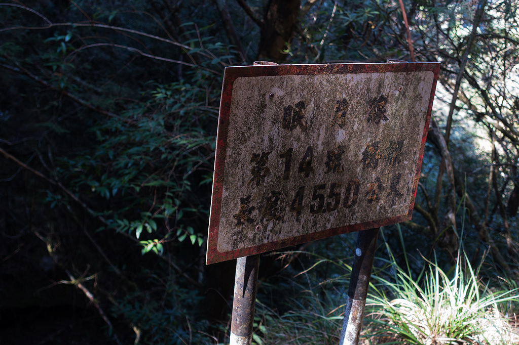 DSC03837.jpg DSC03837.jpg