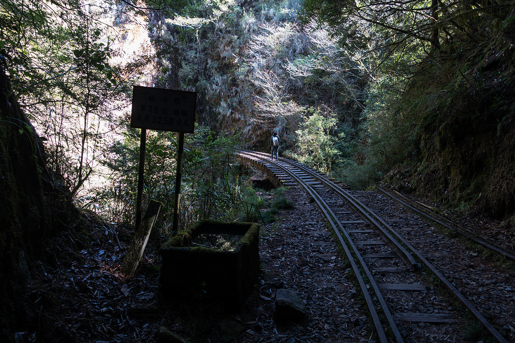 DSC03842.jpg DSC03842.jpg