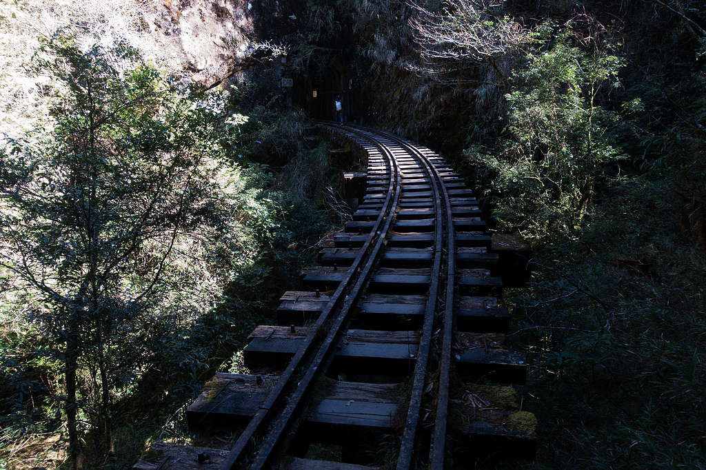 DSC03844.jpg DSC03844.jpg