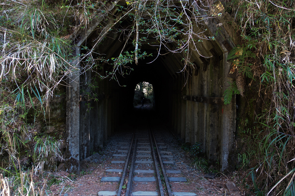 DSC03858.jpg DSC03858.jpg