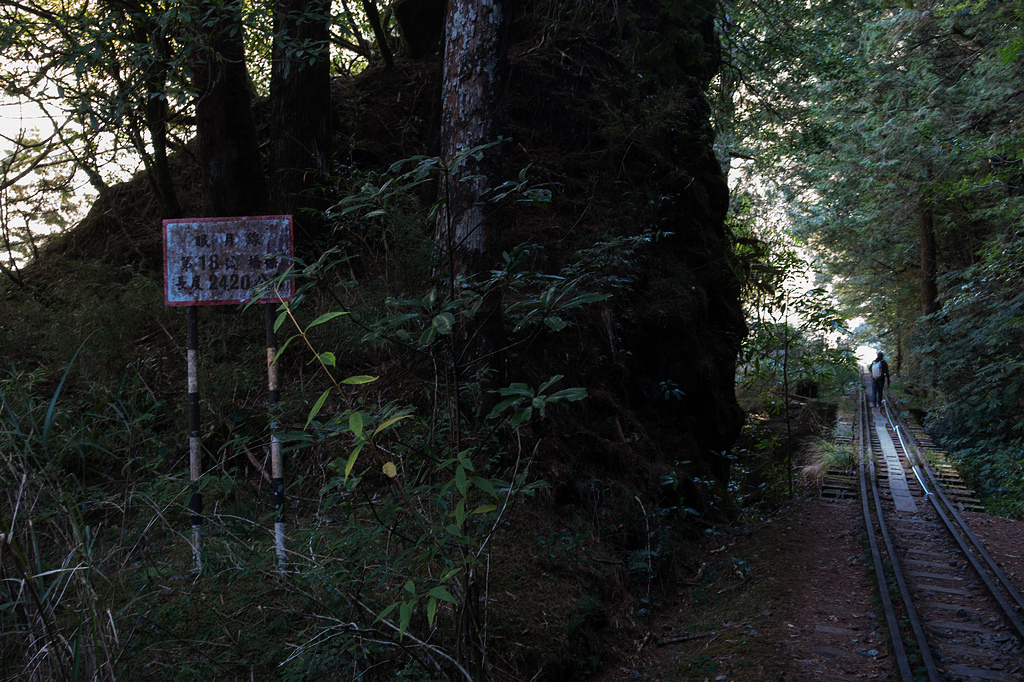 DSC03861.jpg DSC03861.jpg