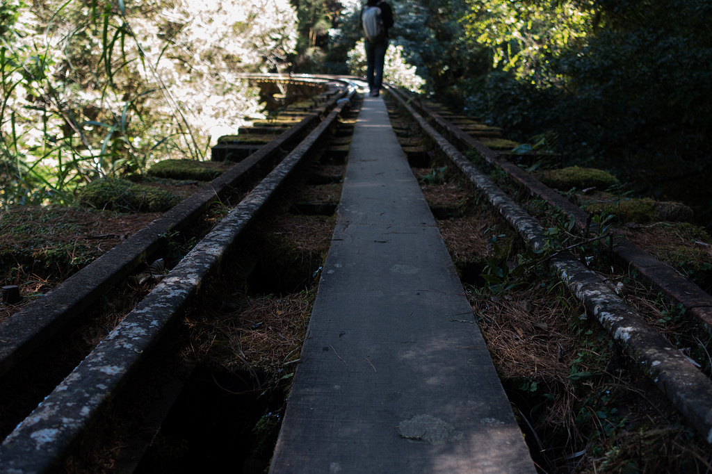 DSC03867.jpg DSC03867.jpg