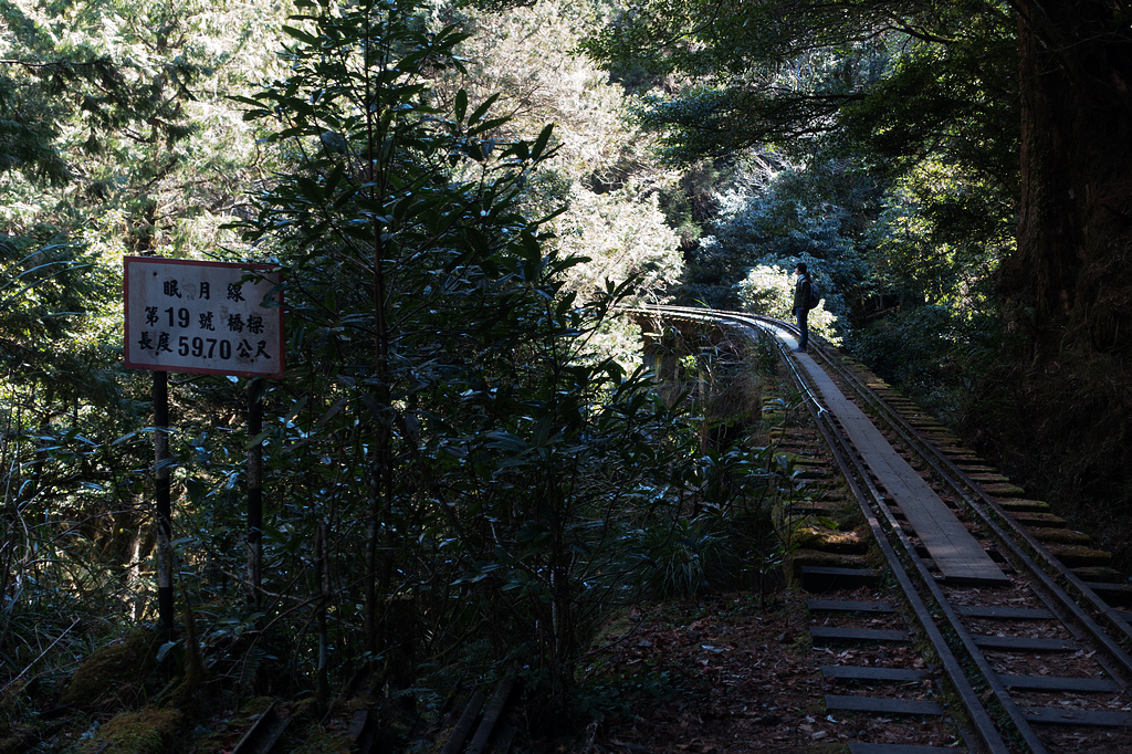 DSC03864.jpg DSC03864.jpg