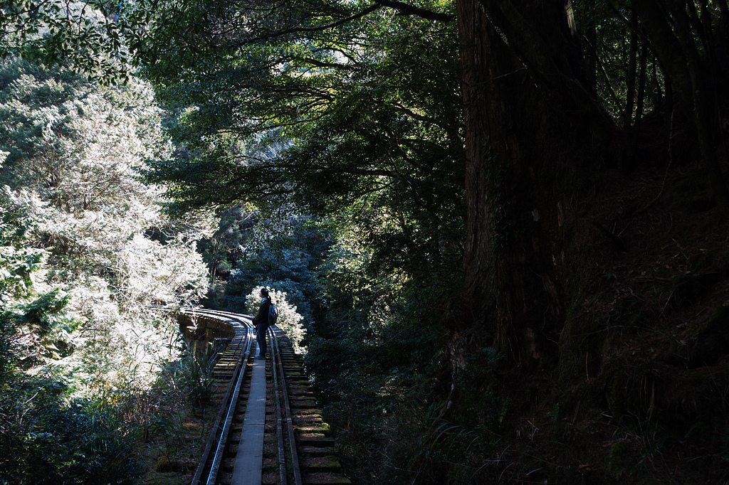 DSC03866.jpg DSC03866.jpg