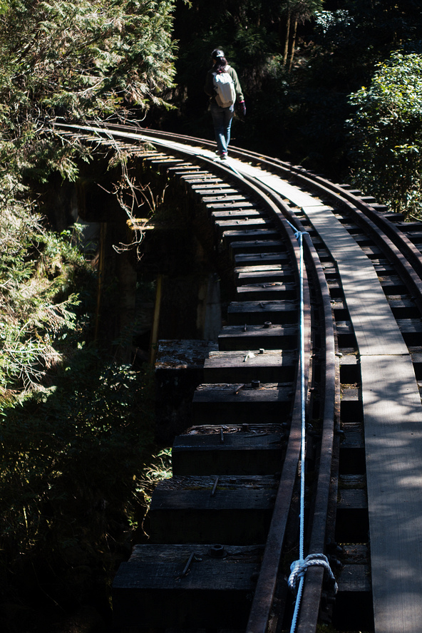 DSC03878.jpg DSC03878.jpg