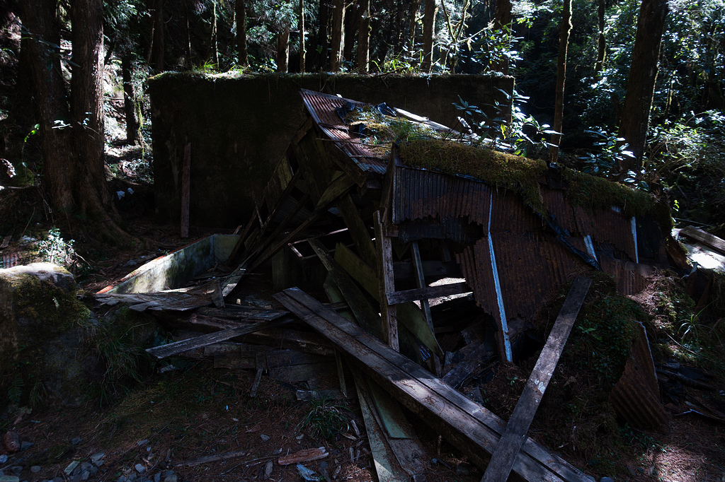 DSC03880.jpg DSC03880.jpg