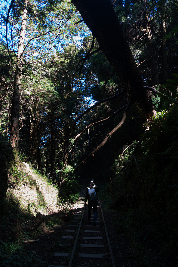 DSC03885.jpg DSC03885.jpg